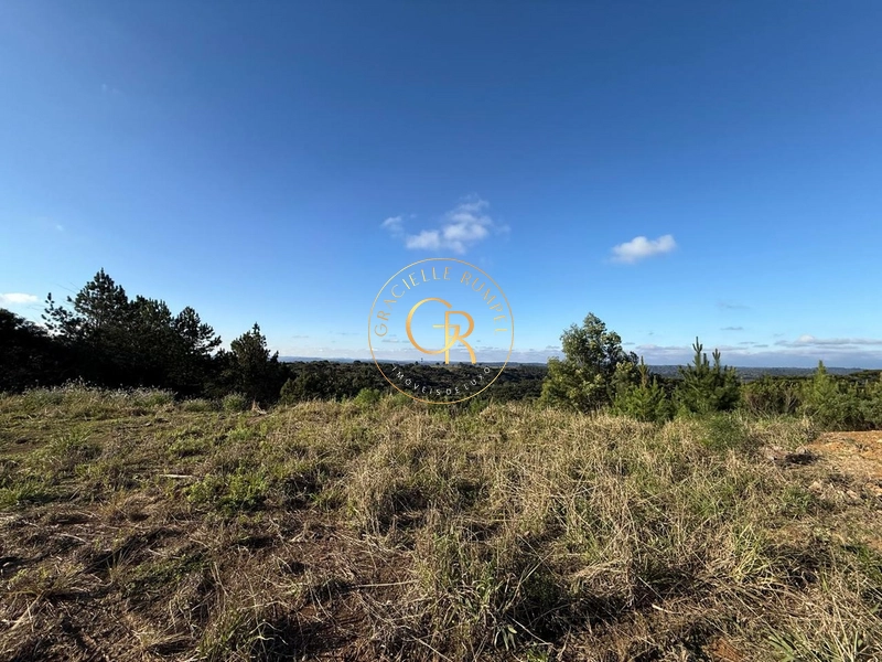 TERRENO PLANO COM VISTA: 8ª foto da galeria de imagens do imóvel