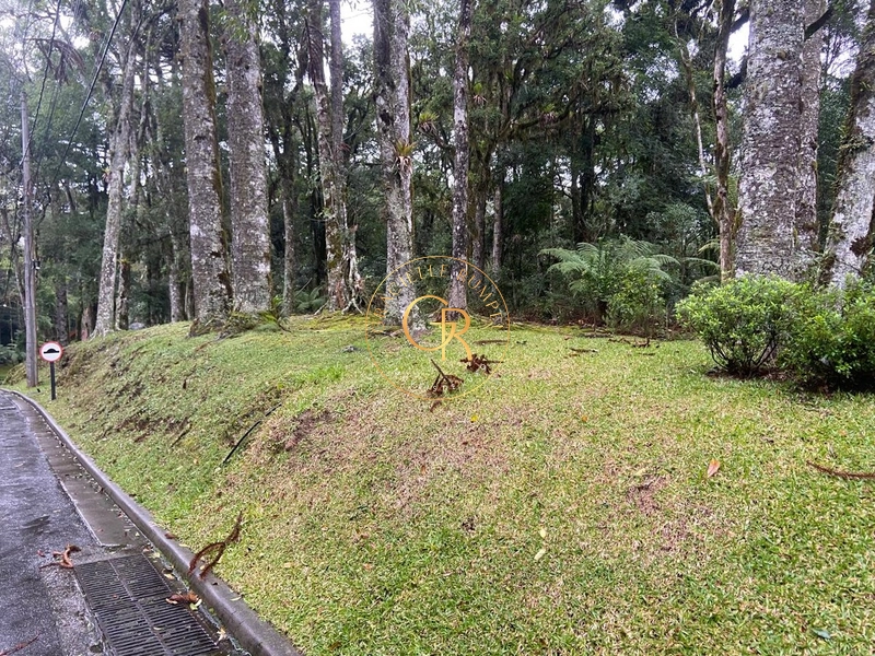 Terreno no condomínio O Bosque, 1.300m² com projeto aprovado