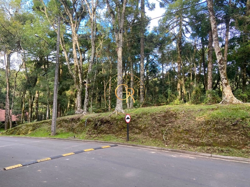 Terreno no condomínio O Bosque, 1.300m² com projeto aprovado: 3ª foto da galeria de imagens do imóvel
