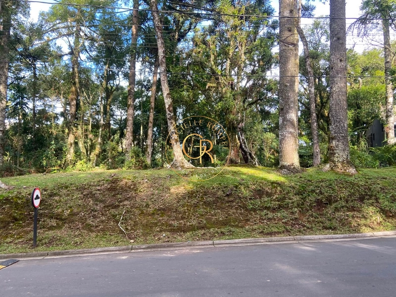 Terreno no condomínio O Bosque, 1.300m² com projeto aprovado: 4ª foto da galeria de imagens do imóvel