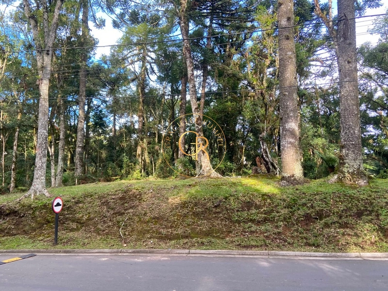 Terreno no condomínio O Bosque, 1.300m² com projeto aprovado: 1ª foto da galeria de imagens do imóvel