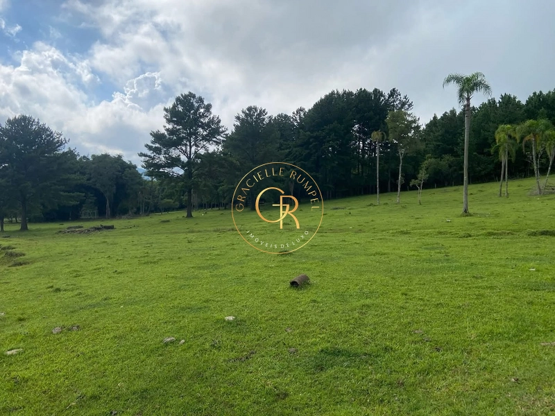 Terreno em Igrejinha, estrada para Serra Grande de 8 Hectares.: 4ª foto da galeria de imagens do imóvel