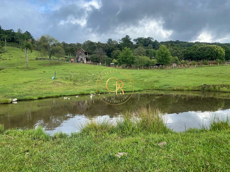 Terreno em Igrejinha, estrada para Serra Grande de 8 Hectares.: 5ª foto da galeria de imagens do imóvel