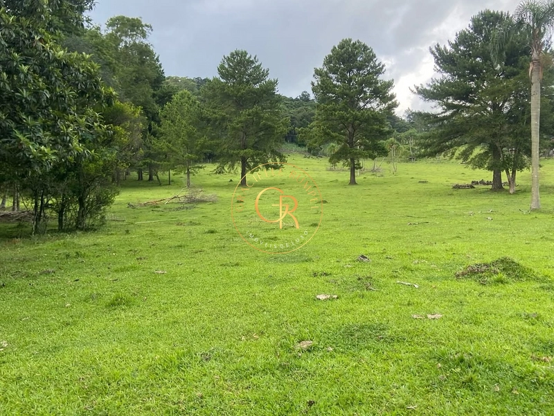 Terreno em Igrejinha, estrada para Serra Grande de 8 Hectares.: 8ª foto da galeria de imagens do imóvel