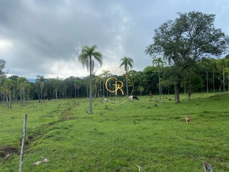 Terreno em Igrejinha, estrada para Serra Grande de 8 Hectares.: 7ª foto da galeria de imagens do imóvel