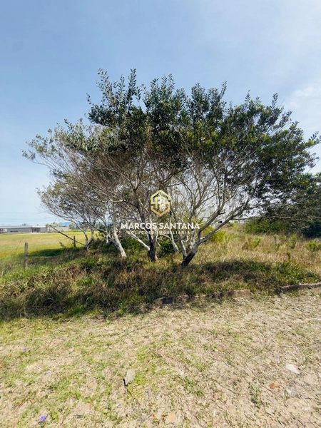 : 1ª foto da galeria de imagens do imóvel