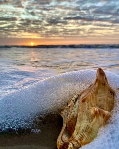 Terreno na Praia de Rainha do Mar: 1ª foto da galeria de imagens do imóvel