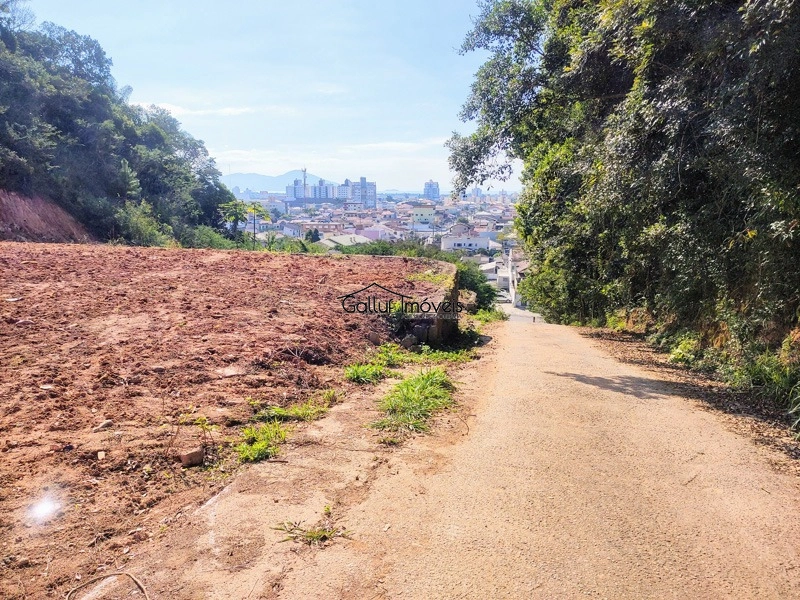 Terreno urbano a venda em Biguaçu, com vista livre, 1.850 m², SC: 7ª foto da galeria de imagens do imóvel