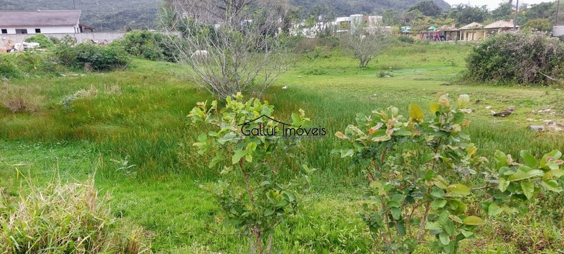 Terreno plano de 2.458m², Vargem Grande, Florianópolis, Sc: 6ª foto da galeria de imagens do imóvel
