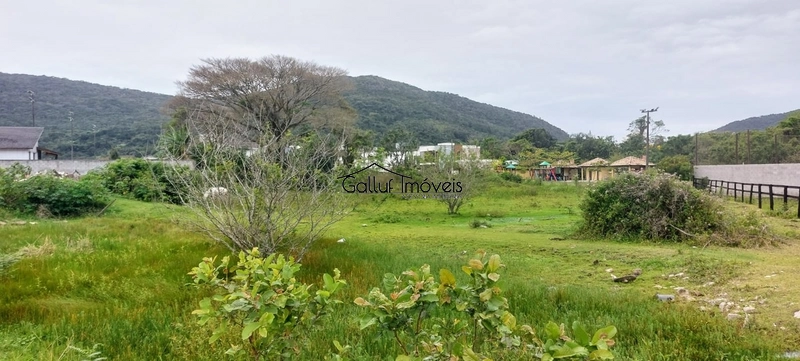 Terreno plano de 2.458m², Vargem Grande, Florianópolis, Sc: 4ª foto da galeria de imagens do imóvel