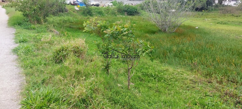 Terreno plano de 2.458m², Vargem Grande, Florianópolis, Sc: 7ª foto da galeria de imagens do imóvel