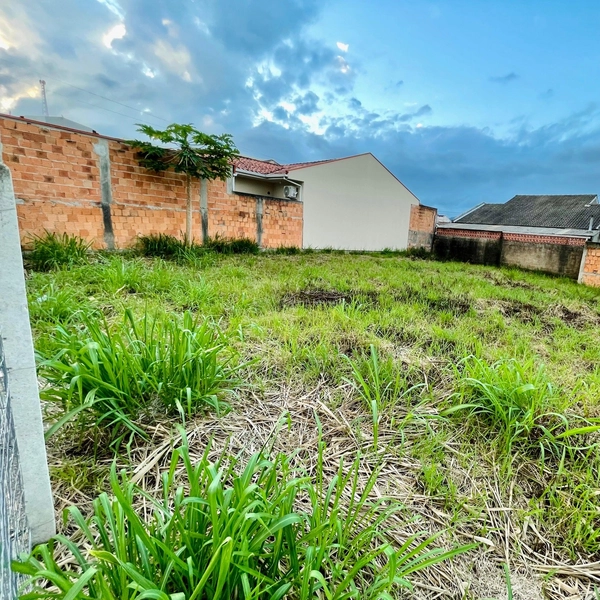 Três Lote a Venda - Bela Vista, Palhoça: 8ª foto da galeria de imagens do imóvel