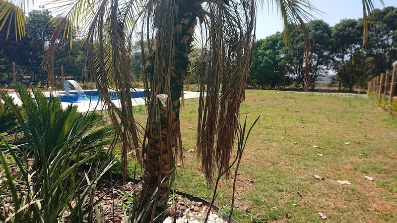 Lindo Sitio em Igarapé pequeno e aconchegante!: 8ª foto da galeria de imagens do imóvel