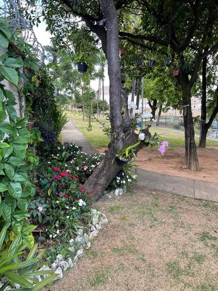 Apê a 1km do Shopping Monte Carmo: 24ª foto da galeria de imagens do imóvel