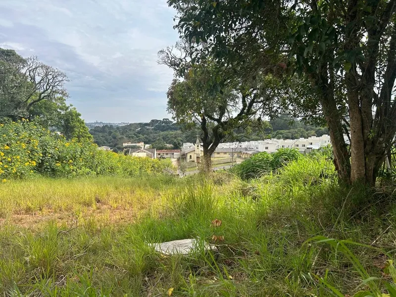 Terreno Ideal para Construçao de Casas de Condominio: 15ª foto da galeria de imagens do imóvel