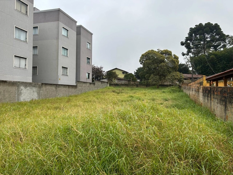 Lote de Terreno Urbano - 490m² - Centro Campo Largo: 6ª foto da galeria de imagens do imóvel