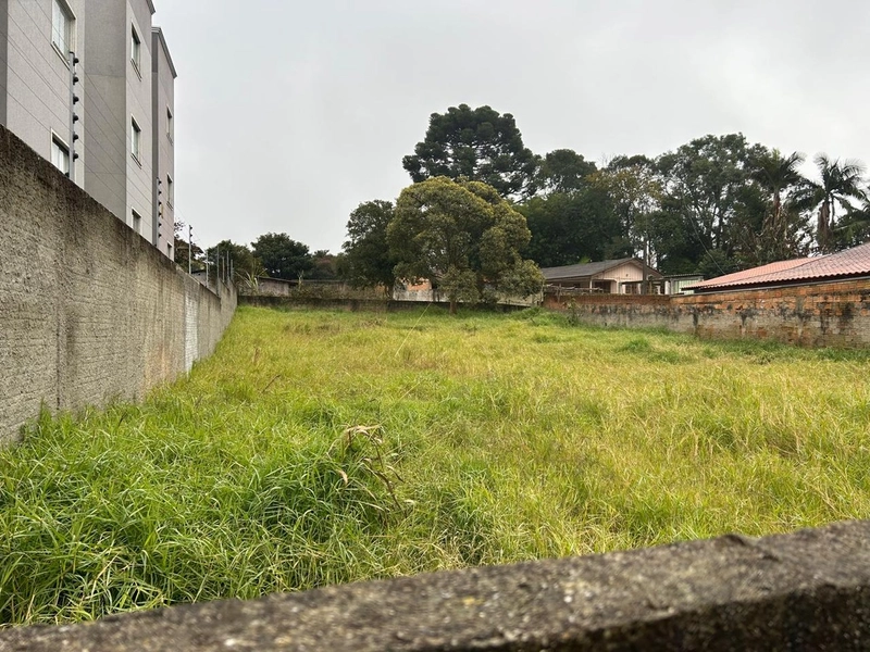 Lote de Terreno Urbano - 490m² - Centro Campo Largo: 1ª foto da galeria de imagens do imóvel