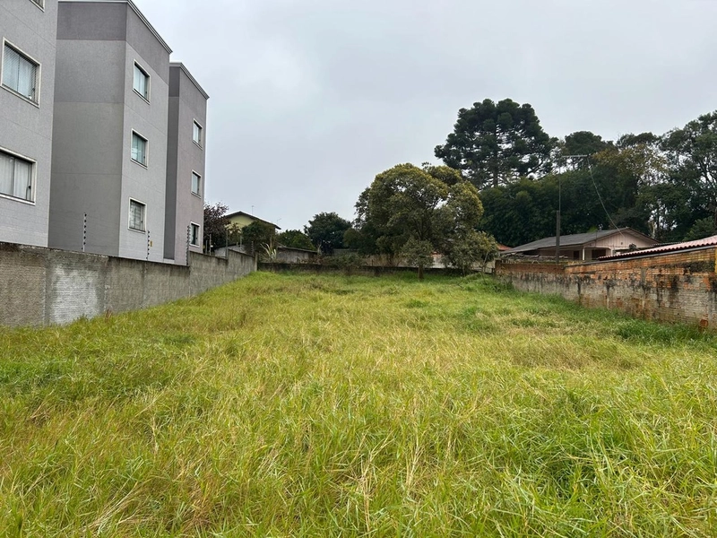 Lote de Terreno Urbano - 490m² - Centro Campo Largo: 4ª foto da galeria de imagens do imóvel