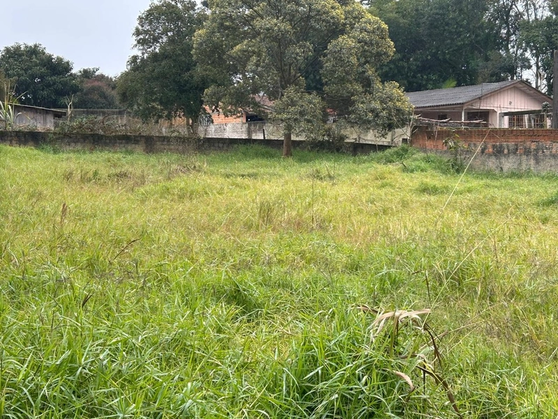 Lote de Terreno Urbano - 490m² - Centro Campo Largo: 5ª foto da galeria de imagens do imóvel