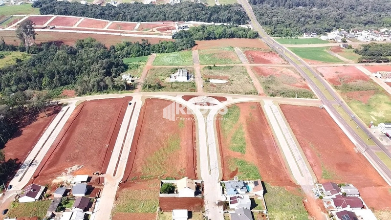Terreno JARDIM SUÍÇA: 6ª foto da galeria de imagens do imóvel