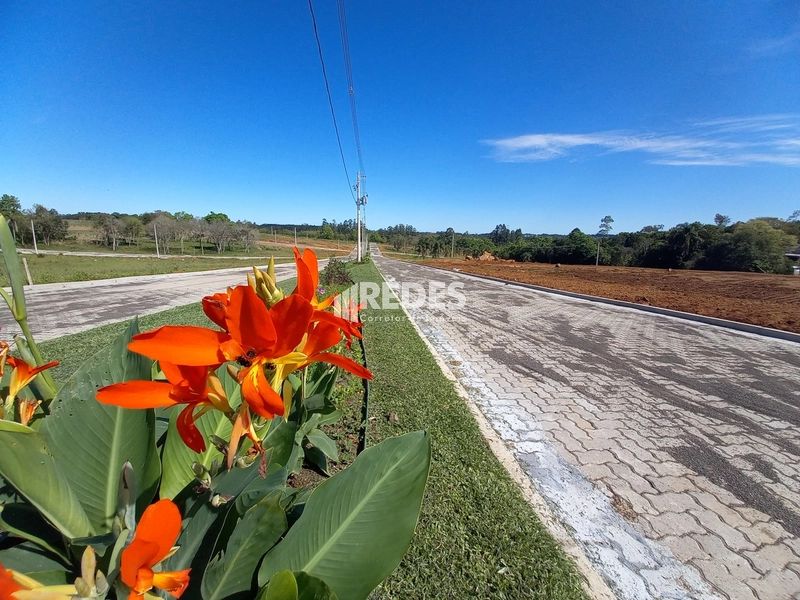 Terreno 13x31: 8ª foto da galeria de imagens do imóvel