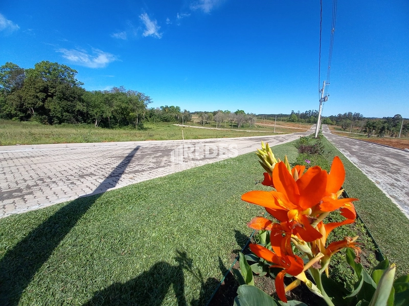 Terreno 13x31: 9ª foto da galeria de imagens do imóvel