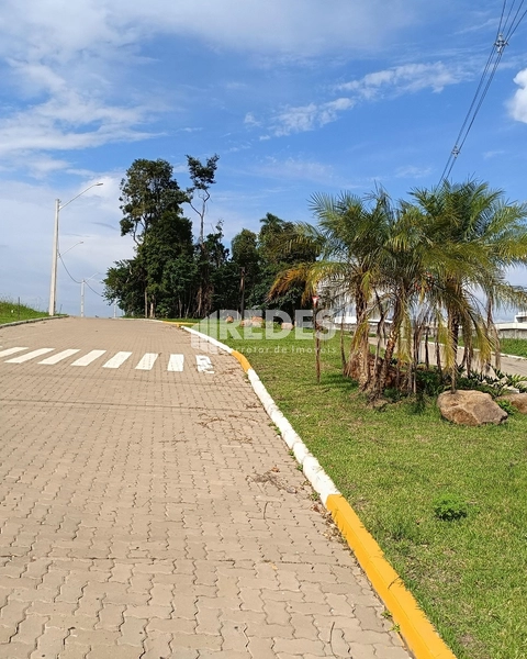 Terreno no Bosque de Conventos: 2ª foto da galeria de imagens do imóvel