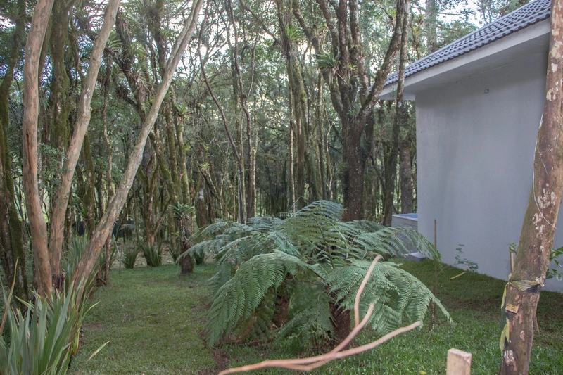 Casa, 321 m2, com 3 suítes, em Canela: 12ª foto da galeria de imagens do imóvel