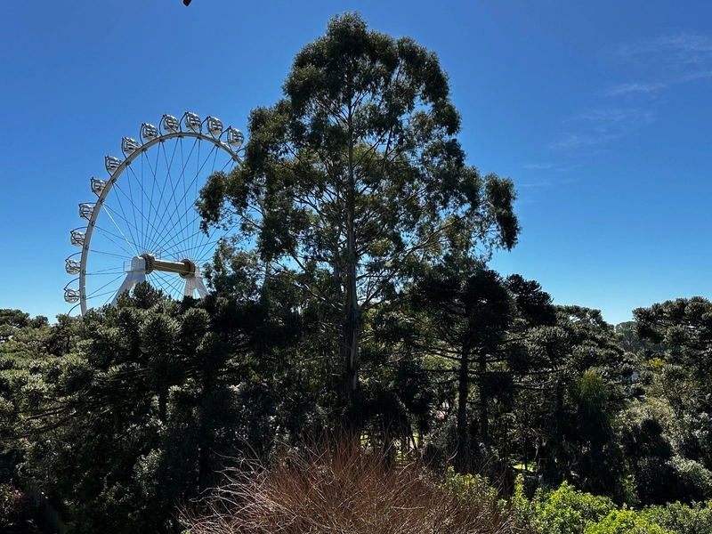 Apartamento 1 suíte em Canela. Mobiliado, decorado e equipado.: 21ª foto da galeria de imagens do imóvel