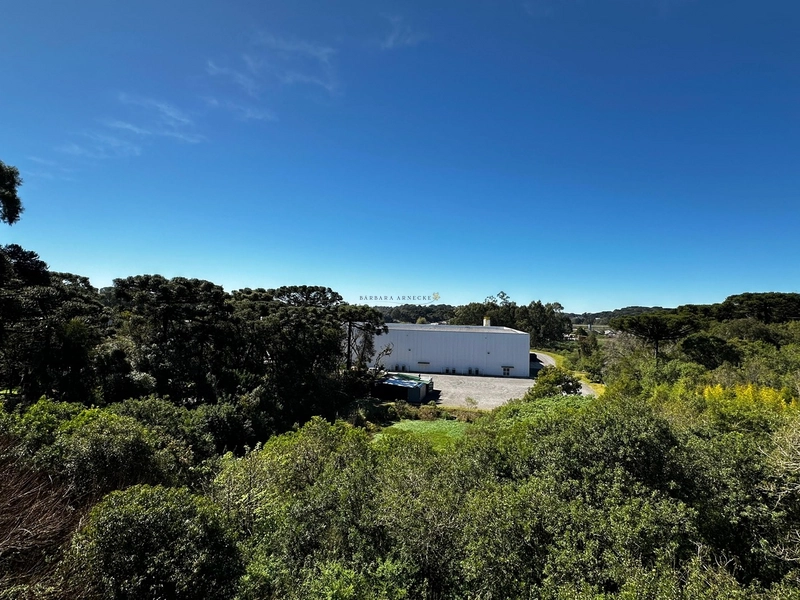 Apartamento 1 suíte em Canela. Mobiliado, decorado e equipado.: 10ª foto da galeria de imagens do imóvel