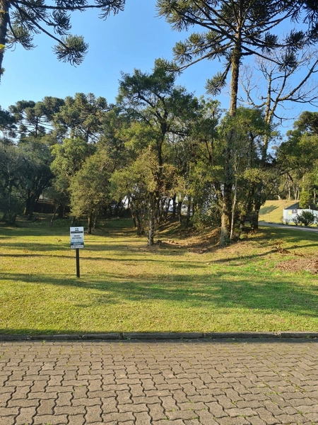 : 1ª foto da galeria de imagens do imóvel