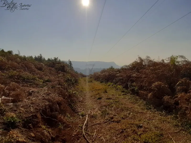 : 13ª foto da galeria de imagens do imóvel