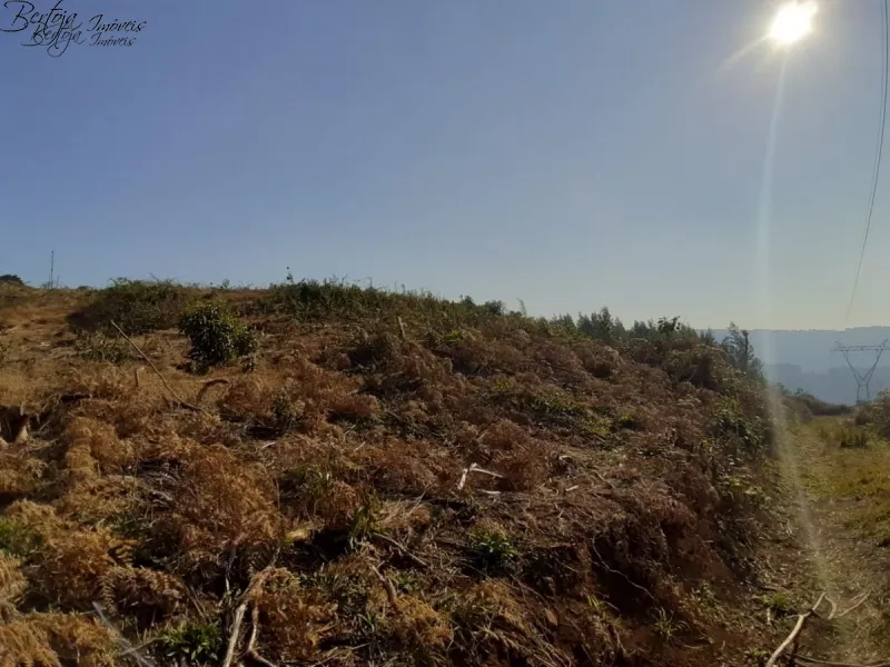 : 10ª foto da galeria de imagens do imóvel