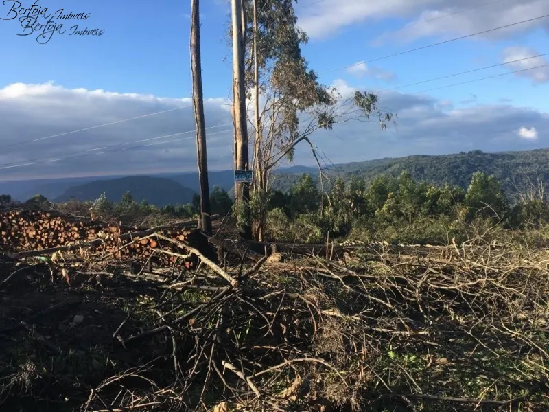 : 23ª foto da galeria de imagens do imóvel