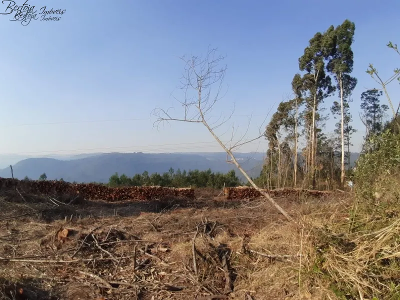 : 14ª foto da galeria de imagens do imóvel