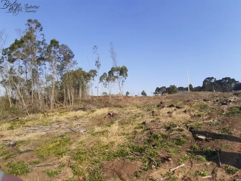 : 20ª foto da galeria de imagens do imóvel