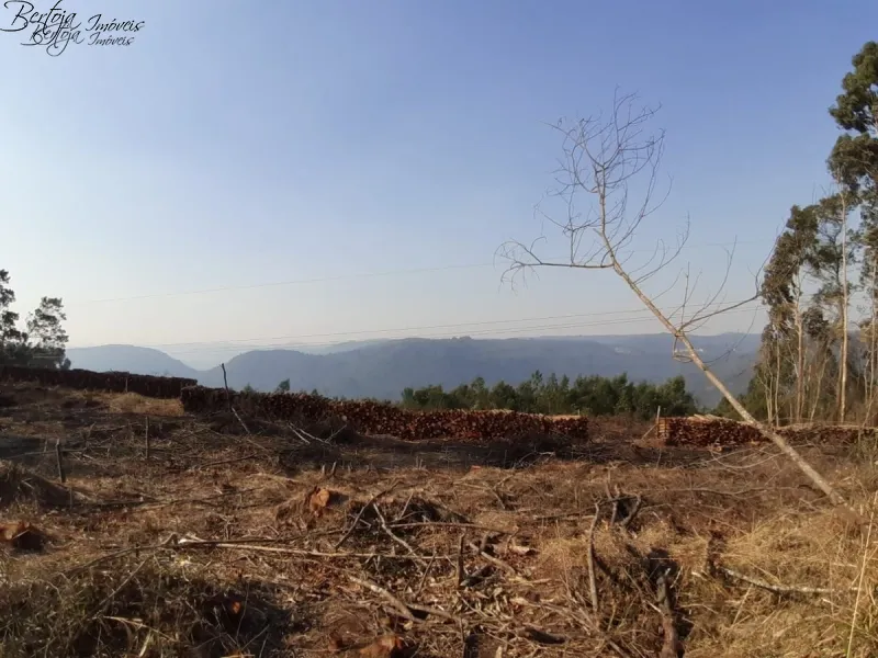 : 6ª foto da galeria de imagens do imóvel