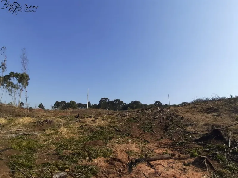 : 7ª foto da galeria de imagens do imóvel