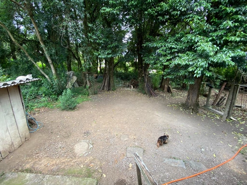 02 Casas no Bairro Piratini: 11ª foto da galeria de imagens do imóvel