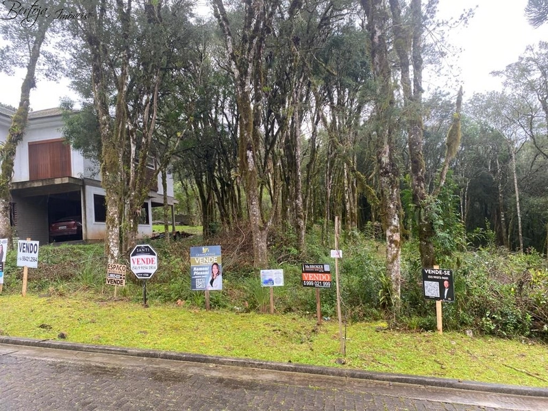 Terreno no Vivendas do Arvoredo: 2ª foto da galeria de imagens do imóvel