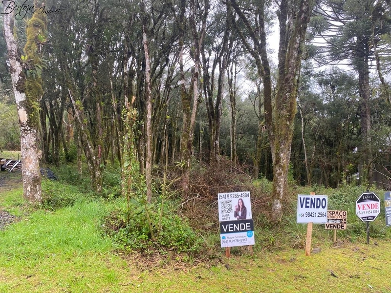 Terreno no Vivendas do Arvoredo: 3ª foto da galeria de imagens do imóvel
