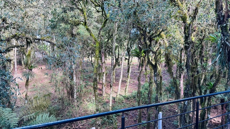 Casa no Vivendas do Arvoredo: 8ª foto da galeria de imagens do imóvel