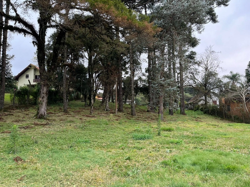 Terreno em Canela com casa: 5ª foto da galeria de imagens do imóvel