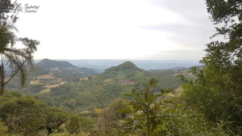 Sítio na Serra Grande com 19 hectares: 1ª foto da galeria de imagens do imóvel
