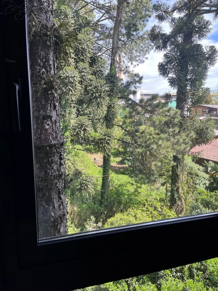 Apartamento cobertura com 02 suítes no Bairro Floresta: 11ª foto da galeria de imagens do imóvel