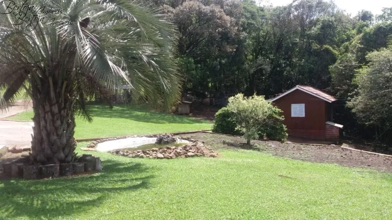 SÍTIO COM CASA E LICENÇA PARA CULTIVO DE MORANGOS: 13ª foto da galeria de imagens do imóvel