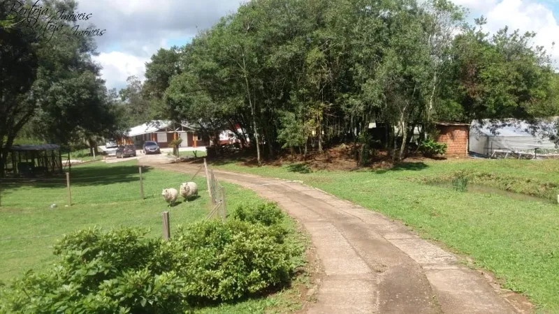 SÍTIO COM CASA E LICENÇA PARA CULTIVO DE MORANGOS: 5ª foto da galeria de imagens do imóvel