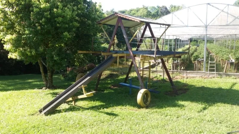 SÍTIO COM CASA E LICENÇA PARA CULTIVO DE MORANGOS: 15ª foto da galeria de imagens do imóvel