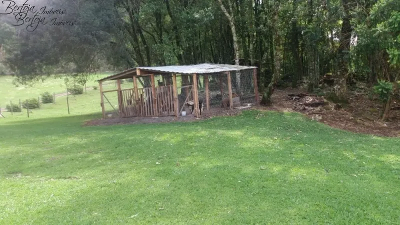 SÍTIO COM CASA E LICENÇA PARA CULTIVO DE MORANGOS: 17ª foto da galeria de imagens do imóvel