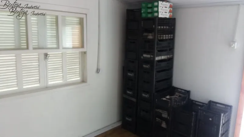 SÍTIO COM CASA E LICENÇA PARA CULTIVO DE MORANGOS: 26ª foto da galeria de imagens do imóvel